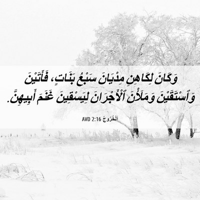 Picture 06 - اَلْخُرُوجُ 2:16 AVD - وَكَانَ لِكَاهِنِ - Bible Verse Picture