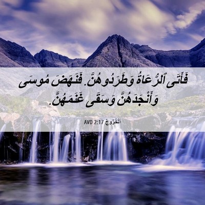 Picture 06 - اَلْخُرُوجُ 2:17 AVD - فَأَتَى ٱلرُّعَاةُ - Bible Verse Picture