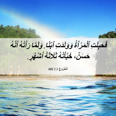 Picture 06 - اَلْخُرُوجُ 2:2 AVD - فَحَبِلَتِ ٱلْمَرْأَةُ - Bible Verse Picture