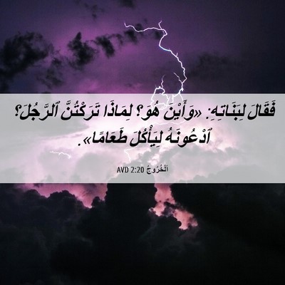 Picture 06 - اَلْخُرُوجُ 2:20 AVD - فَقَالَ لِبَنَاتِهِ: - Bible Verse Picture