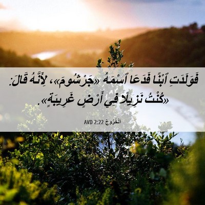 Picture 06 - اَلْخُرُوجُ 2:22 AVD - فَوَلَدَتِ ٱبْنًا فَدَعَا - Bible Verse Picture