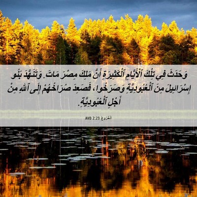 Picture 06 - اَلْخُرُوجُ 2:23 AVD - وَحَدَثَ فِي تِلْكَ - Bible Verse Picture