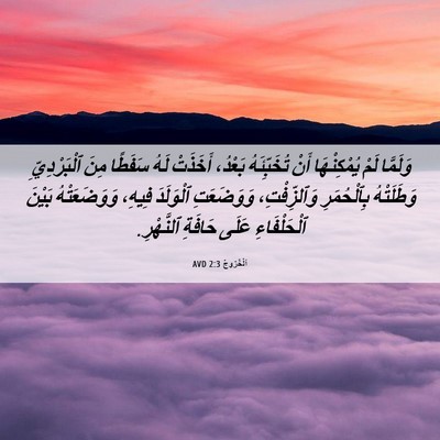 Picture 06 - اَلْخُرُوجُ 2:3 AVD - وَلَمَّا لَمْ يُمْكِنْهَا - Bible Verse Picture