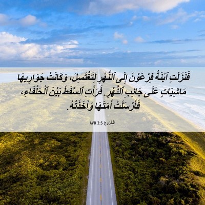 Picture 06 - اَلْخُرُوجُ 2:5 AVD - فَنَزَلَتِ ٱبْنَةُ - Bible Verse Picture