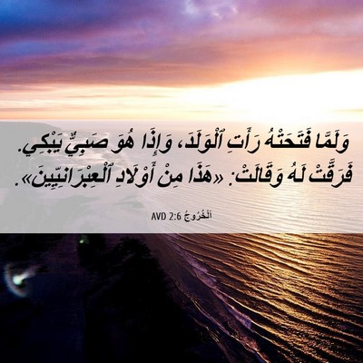 Picture 06 - اَلْخُرُوجُ 2:6 AVD - وَلَمَّا فَتَحَتْهُ - Bible Verse Picture