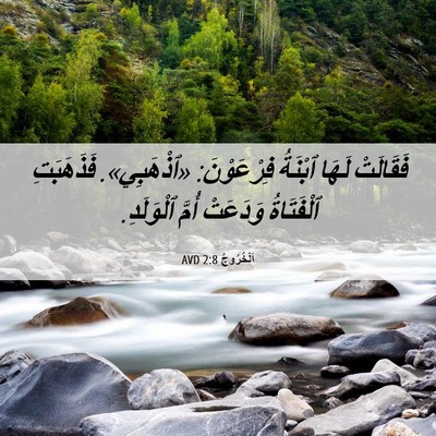 Picture 06 - اَلْخُرُوجُ 2:8 AVD - فَقَالَتْ لَهَا ٱبْنَةُ - Bible Verse Picture