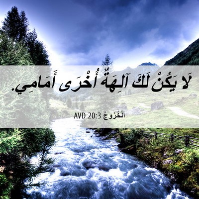 Picture 06 - اَلْخُرُوجُ 20:3 AVD - لَا يَكُنْ لَكَ آلِهَةٌ - Bible Verse Picture