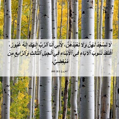 Picture 06 - اَلْخُرُوجُ 20:5 AVD - لَا تَسْجُدْ لَهُنَّ وَلَا - Bible Verse Picture