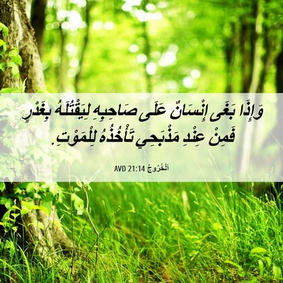 Picture 06 - اَلْخُرُوجُ 21:14 AVD - وَإِذَا بَغَى إِنْسَانٌ - Bible Verse Picture