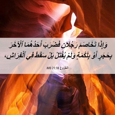 Picture 06 - اَلْخُرُوجُ 21:18 AVD - وَإِذَا تَخَاصَمَ - Bible Verse Picture