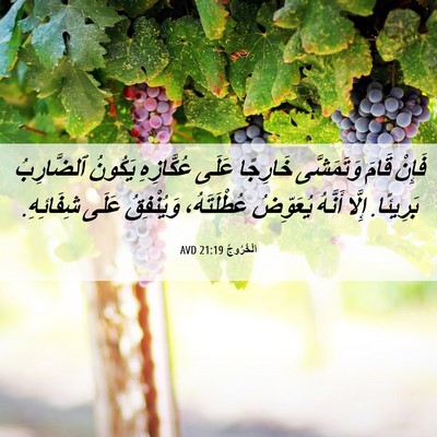Picture 06 - اَلْخُرُوجُ 21:19 AVD - فَإِنْ قَامَ وَتَمَشَّى - Bible Verse Picture