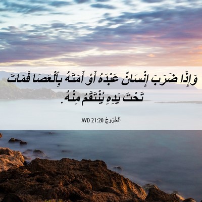 Picture 06 - اَلْخُرُوجُ 21:20 AVD - وَإِذَا ضَرَبَ إِنْسَانٌ - Bible Verse Picture