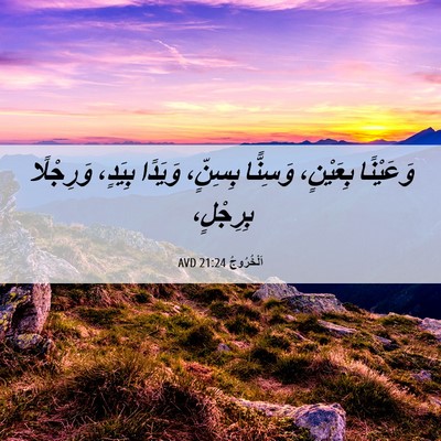 Picture 06 - اَلْخُرُوجُ 21:24 AVD - وَعَيْنًا بِعَيْنٍ، - Bible Verse Picture