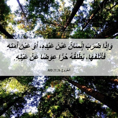 Picture 06 - اَلْخُرُوجُ 21:26 AVD - وَإِذَا ضَرَبَ إِنْسَانٌ - Bible Verse Picture