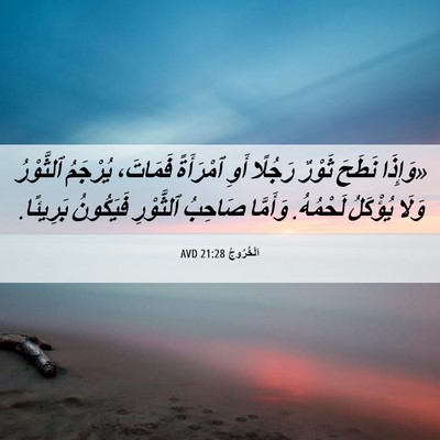 Picture 06 - اَلْخُرُوجُ 21:28 AVD - «وَإِذَا نَطَحَ ثَوْرٌ - Bible Verse Picture