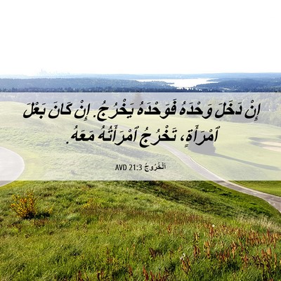 Picture 06 - اَلْخُرُوجُ 21:3 AVD - إِنْ دَخَلَ وَحْدَهُ - Bible Verse Picture