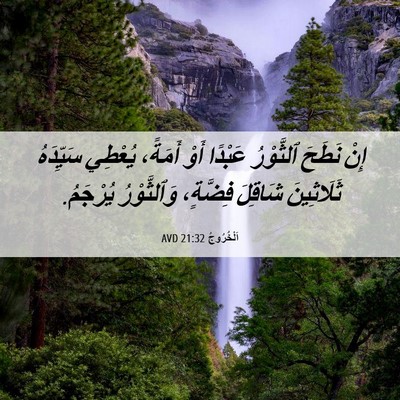 Picture 06 - اَلْخُرُوجُ 21:32 AVD - إِنْ نَطَحَ ٱلثَّوْرُ - Bible Verse Picture