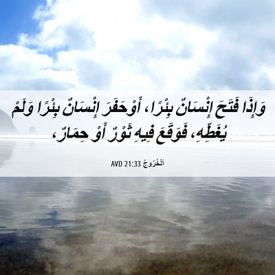 Picture 06 - اَلْخُرُوجُ 21:33 AVD - وَإِذَا فَتَحَ إِنْسَانٌ - Bible Verse Picture
