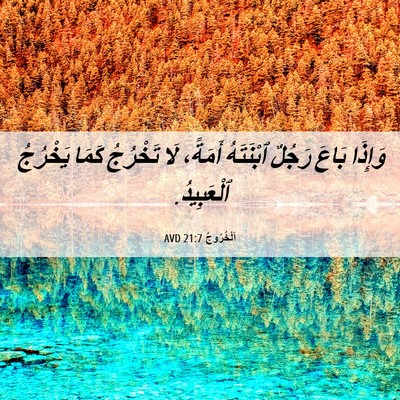 Picture 06 - اَلْخُرُوجُ 21:7 AVD - وَإِذَا بَاعَ رَجُلٌ - Bible Verse Picture