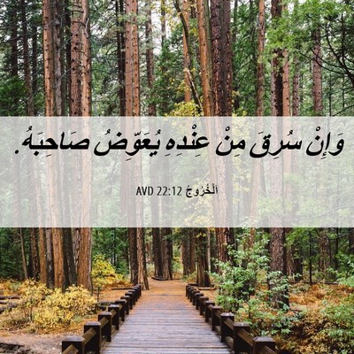 Picture 06 - اَلْخُرُوجُ 22:12 AVD - وَإِنْ سُرِقَ مِنْ - Bible Verse Picture