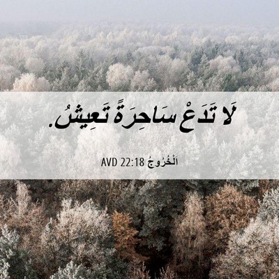 Picture 06 - اَلْخُرُوجُ 22:18 AVD - لَا تَدَعْ سَاحِرَةً - Bible Verse Picture