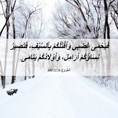 Picture 06 - اَلْخُرُوجُ 22:24 AVD - فَيَحْمَى غَضَبِي - Bible Verse Picture