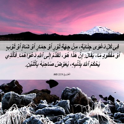 Picture 06 - اَلْخُرُوجُ 22:9 AVD - فِي كُلِّ دَعْوَى - Bible Verse Picture