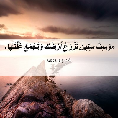 Picture 06 - اَلْخُرُوجُ 23:10 AVD - «وَسِتَّ سِنِينَ تَزْرَعُ - Bible Verse Picture