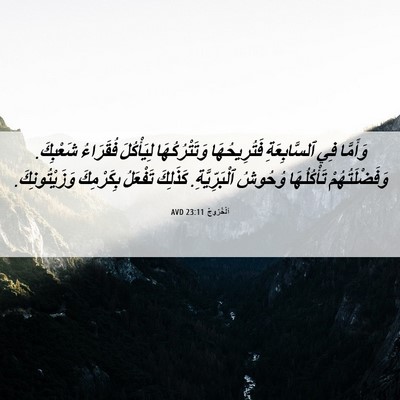 Picture 06 - اَلْخُرُوجُ 23:11 AVD - وَأَمَّا فِي ٱلسَّابِعَةِ - Bible Verse Picture