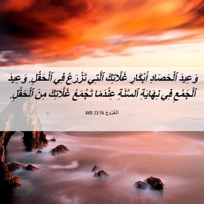 Picture 06 - اَلْخُرُوجُ 23:16 AVD - وَعِيدَ ٱلْحَصَادِ - Bible Verse Picture