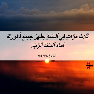 Picture 06 - اَلْخُرُوجُ 23:17 AVD - ثَلَاثَ مَرَّاتٍ فِي - Bible Verse Picture