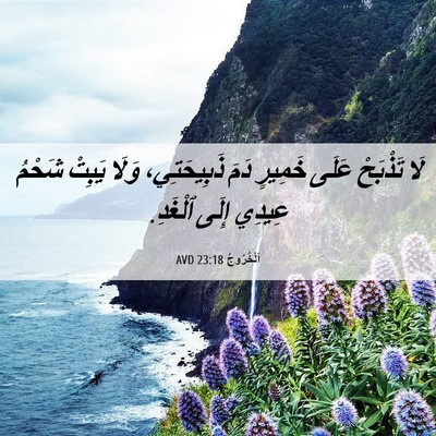 Picture 06 - اَلْخُرُوجُ 23:18 AVD - لَا تَذْبَحْ عَلَى خَمِيرٍ - Bible Verse Picture
