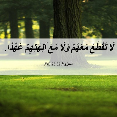 Picture 06 - اَلْخُرُوجُ 23:32 AVD - لَا تَقْطَعْ مَعَهُمْ - Bible Verse Picture