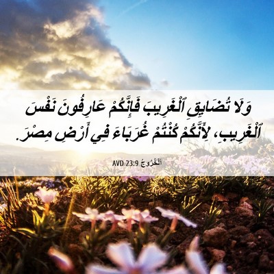 Picture 06 - اَلْخُرُوجُ 23:9 AVD - وَلَا تُضَايِقِ - Bible Verse Picture