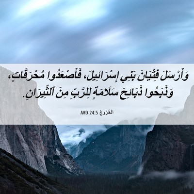 Picture 06 - اَلْخُرُوجُ 24:5 AVD - وَأَرْسَلَ فِتْيَانَ - Bible Verse Picture