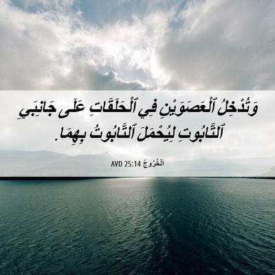 Picture 06 - اَلْخُرُوجُ 25:14 AVD - وَتُدْخِلُ ٱلْعَصَوَيْنِ - Bible Verse Picture