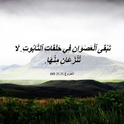 Picture 06 - اَلْخُرُوجُ 25:15 AVD - تَبْقَى ٱلْعَصَوَانِ فِي - Bible Verse Picture