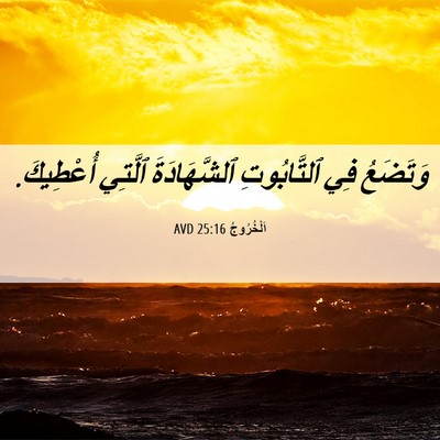 Picture 06 - اَلْخُرُوجُ 25:16 AVD - وَتَضَعُ فِي ٱلتَّابُوتِ - Bible Verse Picture