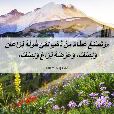 Picture 06 - اَلْخُرُوجُ 25:17 AVD - «وَتَصْنَعُ غِطَاءً مِنْ - Bible Verse Picture