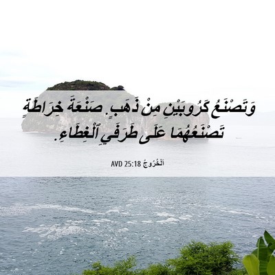 Picture 06 - اَلْخُرُوجُ 25:18 AVD - وَتَصْنَعُ كَرُوبَيْنِ - Bible Verse Picture