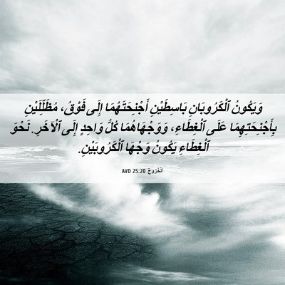 Picture 06 - اَلْخُرُوجُ 25:20 AVD - وَيَكُونُ ٱلْكَرُوبَانِ - Bible Verse Picture