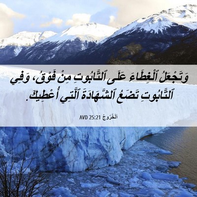 Picture 06 - اَلْخُرُوجُ 25:21 AVD - وَتَجْعَلُ ٱلْغِطَاءَ - Bible Verse Picture
