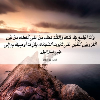 Picture 06 - اَلْخُرُوجُ 25:22 AVD - وَأَنَا أَجْتَمِعُ بِكَ - Bible Verse Picture