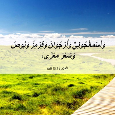 Picture 06 - اَلْخُرُوجُ 25:4 AVD - وَأَسْمَانْجُونِيٌّ - Bible Verse Picture