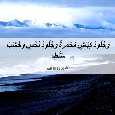 Picture 06 - اَلْخُرُوجُ 25:5 AVD - وَجُلُودُ كِبَاشٍ - Bible Verse Picture