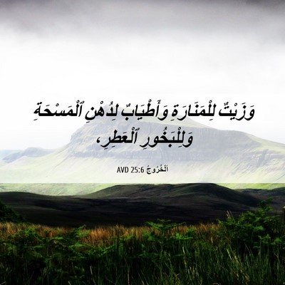 Picture 06 - اَلْخُرُوجُ 25:6 AVD - وَزَيْتٌ لِلْمَنَارَةِ - Bible Verse Picture