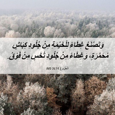 Picture 06 - اَلْخُرُوجُ 26:14 AVD - وَتَصْنَعُ غِطَاءً - Bible Verse Picture