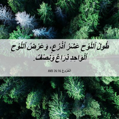 Picture 06 - اَلْخُرُوجُ 26:16 AVD - طُولُ ٱللَّوْحِ عَشَرُ - Bible Verse Picture