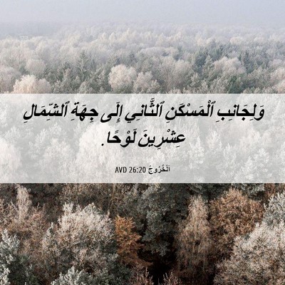 Picture 06 - اَلْخُرُوجُ 26:20 AVD - وَلِجَانِبِ ٱلْمَسْكَنِ - Bible Verse Picture