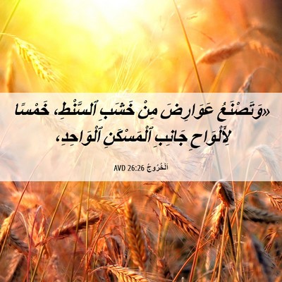 Picture 06 - اَلْخُرُوجُ 26:26 AVD - «وَتَصْنَعُ عَوَارِضَ - Bible Verse Picture